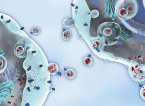 exosome 1